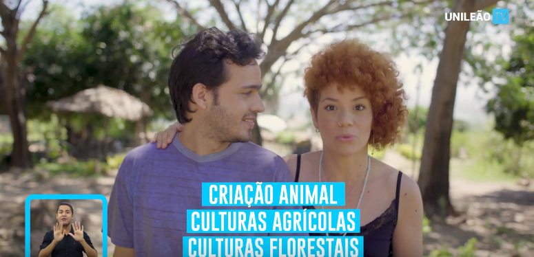 Sistema Agrossilvipastoril - Medicina Veterinária
