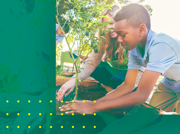 Curso de Psicologia realiza live sobre educação ambiental