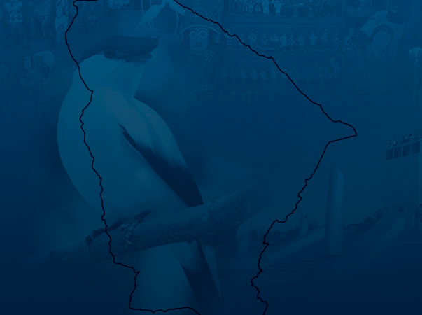 Unileão divulga a lista de resumos científicos aprovados no V Congresso Caririense de Enfermagem