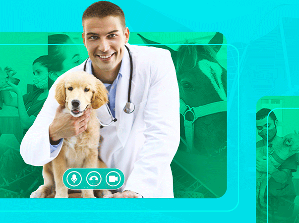 Curso de Medicina Veterinária da Unileão realiza a V Cerimônia do Jaleco