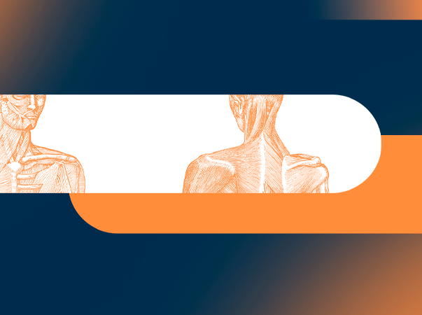 Liga Acadêmica de Fisioterapia Manual dos alunos da Unileão realiza curso de Formação em Anatomia Palpatória