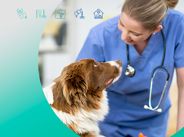 Hospital Veterinário da Unileão lança edital de seleção para Aprimoramento Prático