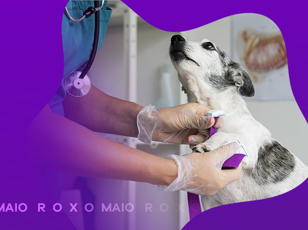 Grupo de Estudos de Pequenos Animais promove evento voltado a importância dos cuidados com pacientes geriatras