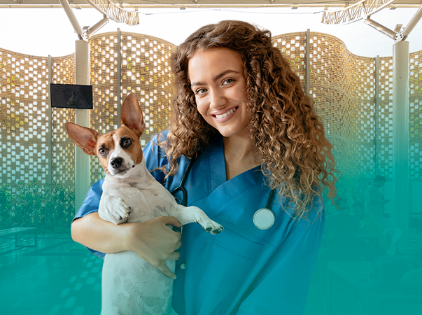 Hospital Veterinário da Unileão divulga edital do projeto de extensão “Vivenciando a Medicina Veterinária”