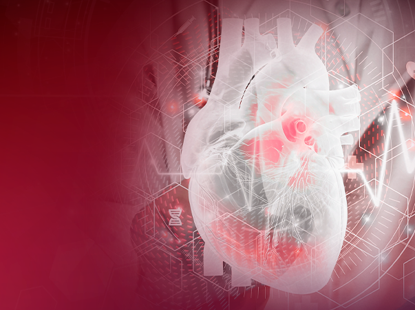 Coração em evidência: Abertura da Liga Acadêmica de Fisiologia e Clínica Cardiovascular reflete sobre cuidado e organiza ação social